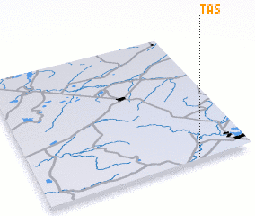 3d view of Tas