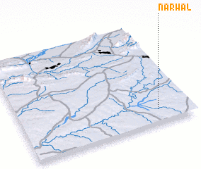 3d view of Narwāl