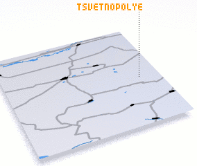 3d view of Tsvetnopol\