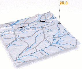 3d view of Pilo