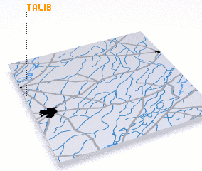 3d view of Tālib