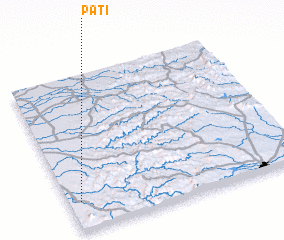 3d view of Pāti