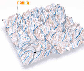 3d view of Nakka