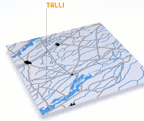 3d view of Talli