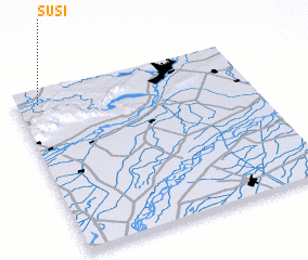 3d view of Susi