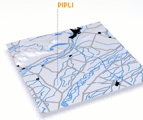 3d view of Pīpli