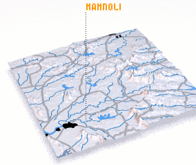 3d view of Mamnoli