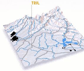 3d view of Tril