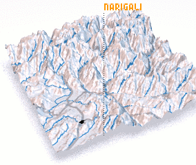 3d view of Nari Gali