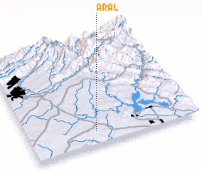 3d view of Aral