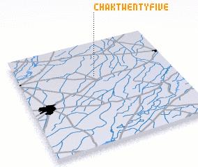 3d view of Chak Twenty-five