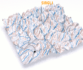 3d view of Singli