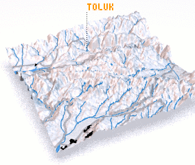 3d view of Toluk