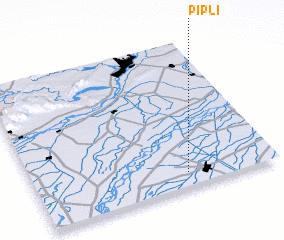 3d view of Pipli