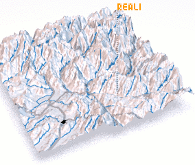 3d view of Reāli