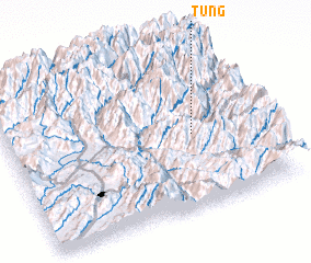 3d view of Tung