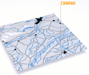 3d view of Charak