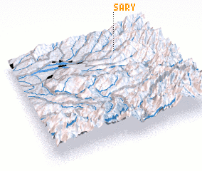 3d view of Sary