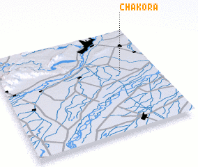 3d view of Chakora