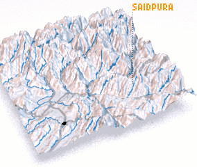 3d view of Saidpura