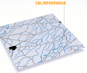 3d view of Salīmpur Pakka