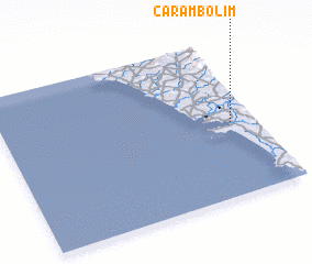 3d view of Carambolim