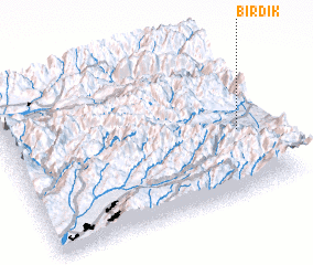 3d view of Birdik