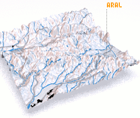 3d view of Aral