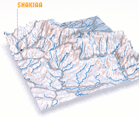 3d view of Shakiaa