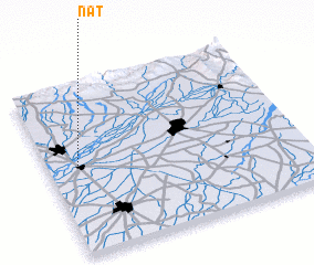 3d view of Nat