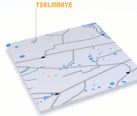 3d view of Tselinnoye