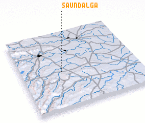 3d view of Saundalga