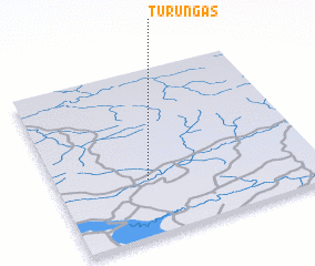 3d view of Turungas