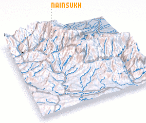 3d view of Nainsukh