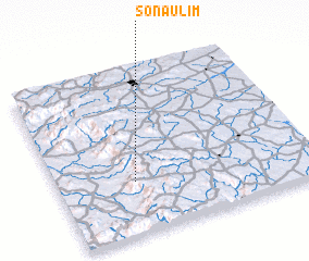 3d view of Sonaulim