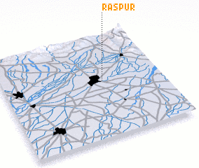 3d view of Raspur