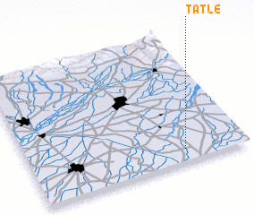 3d view of Tatle