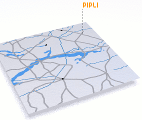 3d view of Pipli