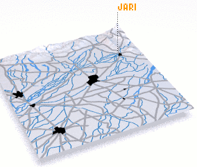 3d view of Jari