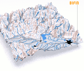 3d view of Bifin