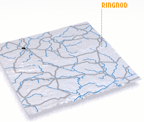 3d view of Ringnod