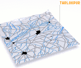 3d view of Tarlokpur