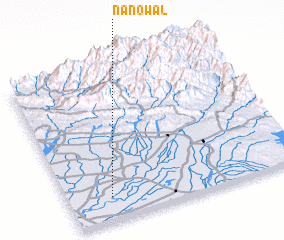 3d view of Nanowāl