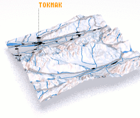 3d view of Tokmak