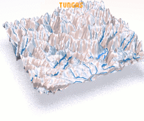 3d view of Tungas