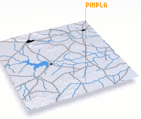 3d view of Pimpla