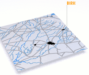 3d view of Birk