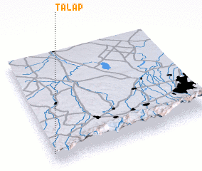 3d view of Talap