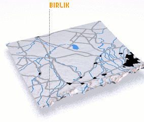 3d view of Birlik