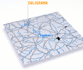 3d view of Sāligrāma